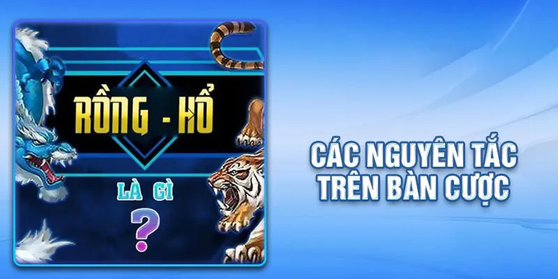 Tìm hiểu chi tiết cách chơi rồng hổ tại nhà cái 69VN