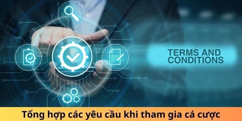 Tổng hợp các yêu cầu khi tham gia cá cược